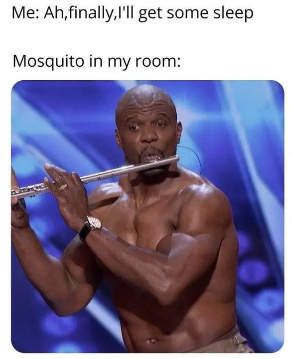 Bedroom mosquito meme disrupting sleep