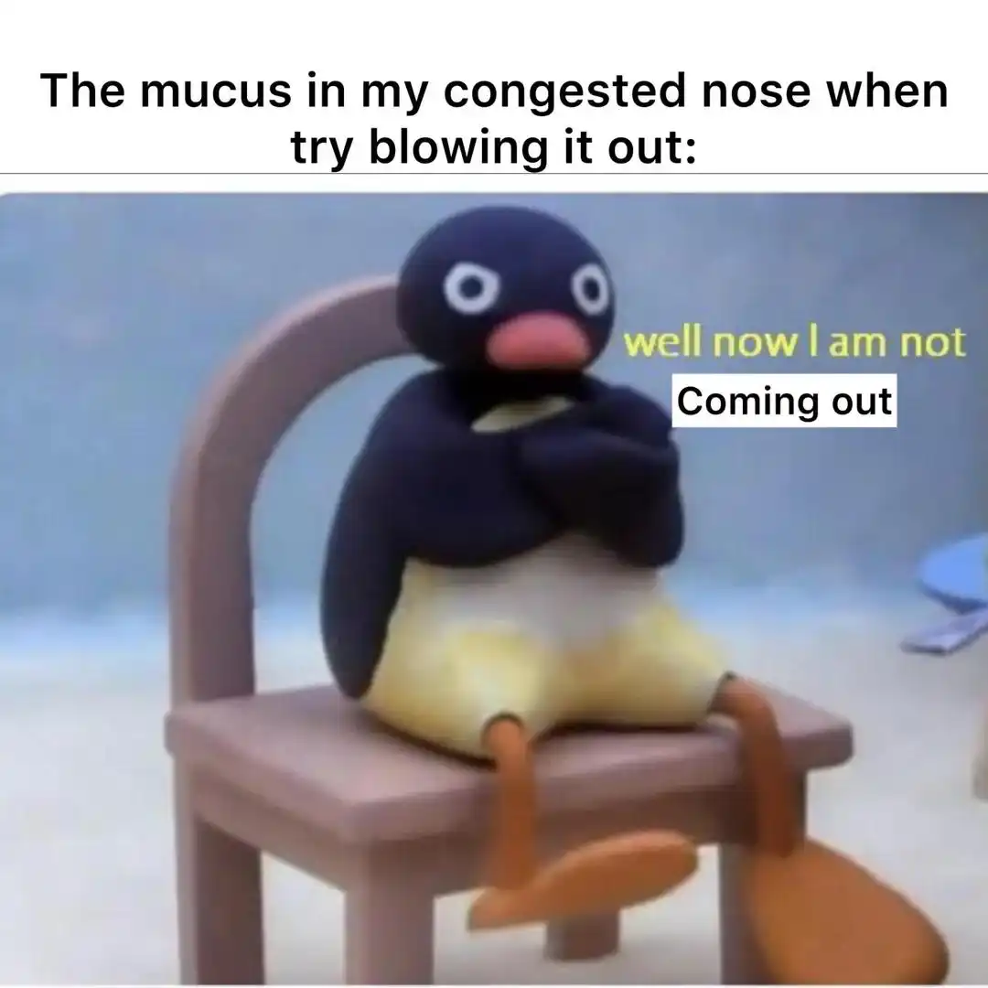 Congested nose mucus meme not coming out