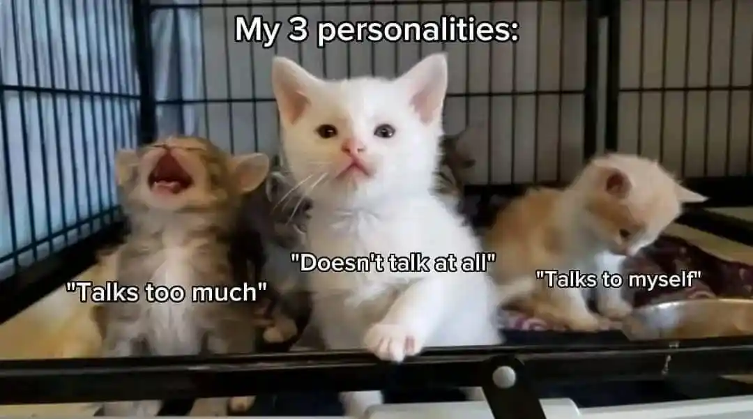 My 3 personalities kitten meme showing talking traits