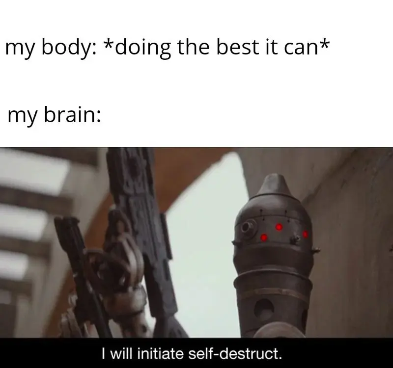 Body Brain Self Destruct meme panicking over nothing