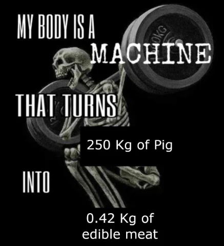My body is machine meme processes pig to meat