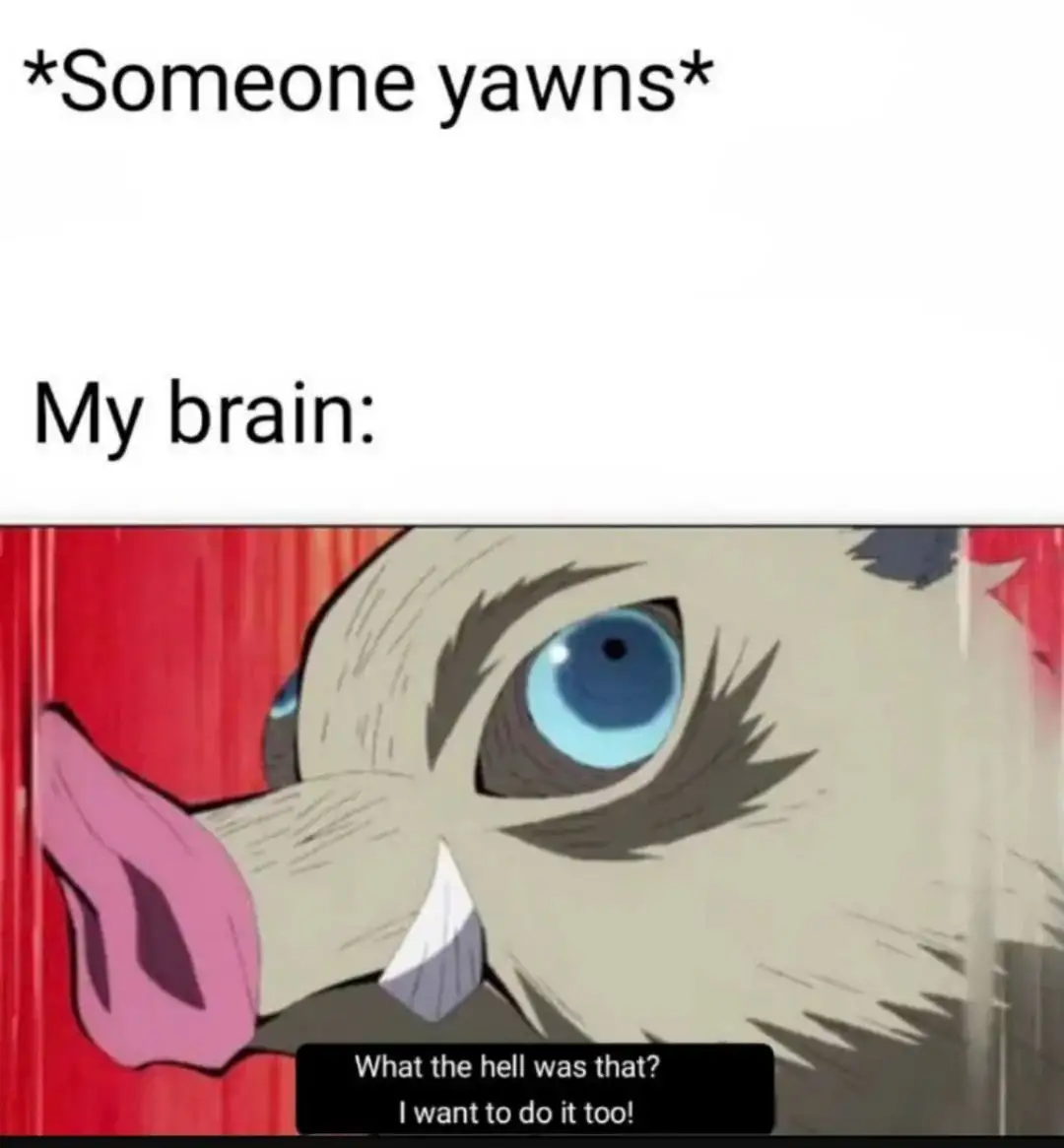 Someone yawns meme brain wants to do it too