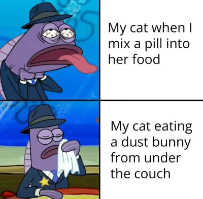 Cat rejects pill meme eating couch dust bunny