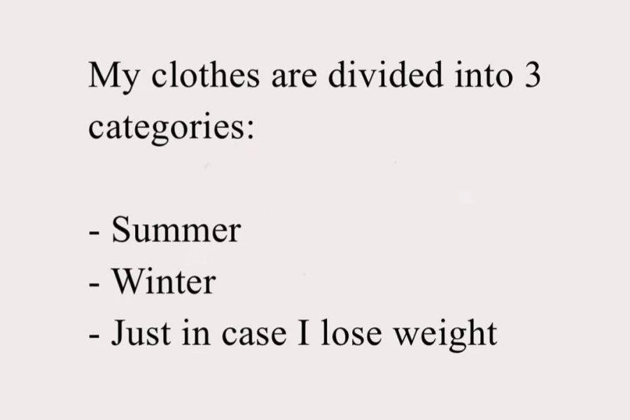 Clothes types meme summer winter weight loss