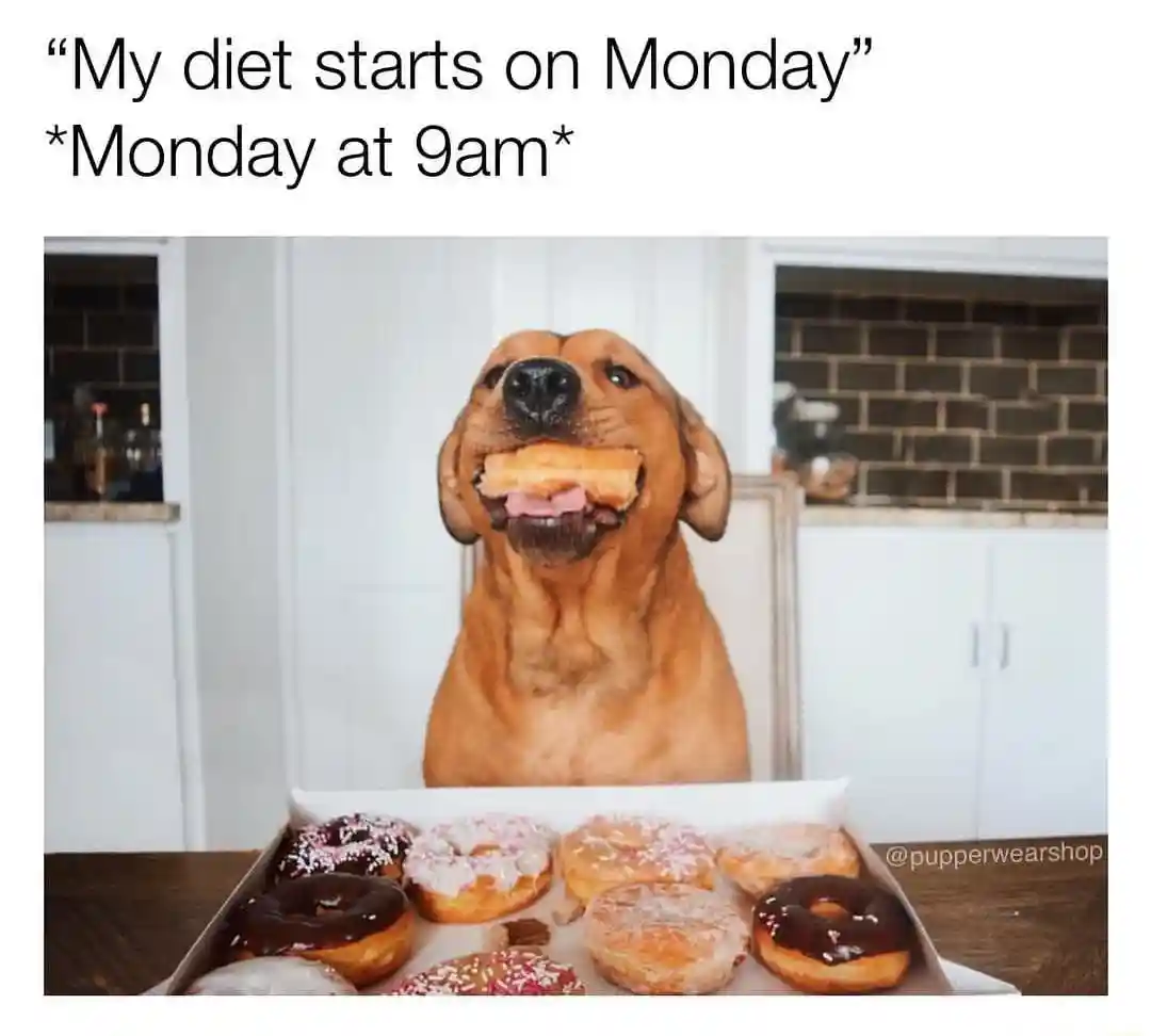 Diet starts monday meme dog eating donut at 9am
