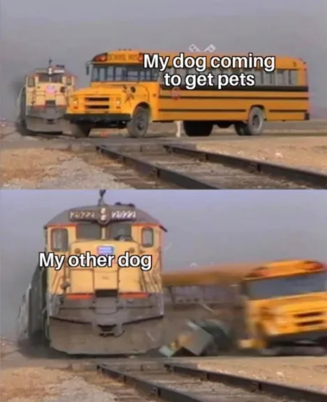Two dogs meme one rams the other to get pets