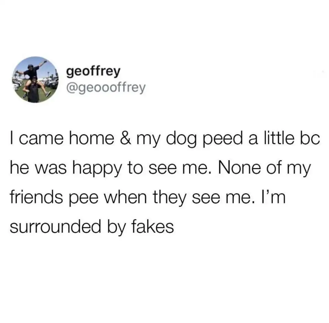 Happy dog pees meme calling friends fake