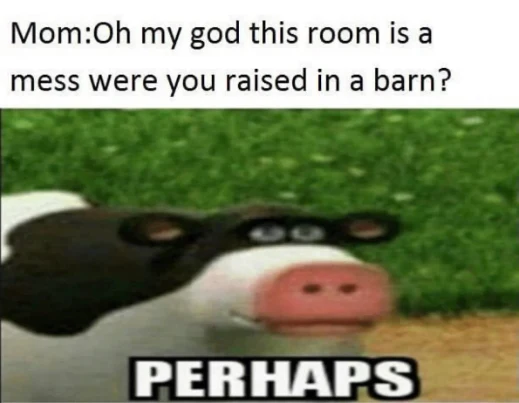 Messy room barn cow meme, says silly perhaps line