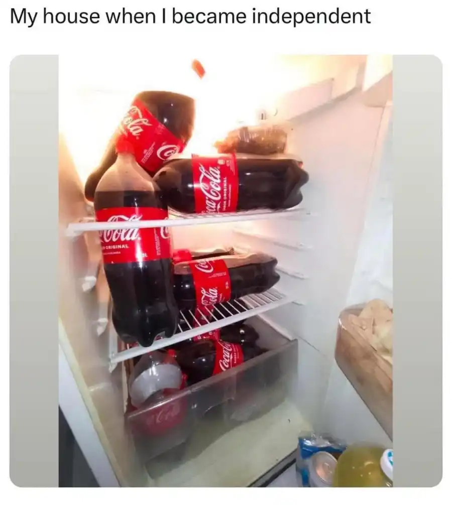 Full Coke fridge meme funny adult life