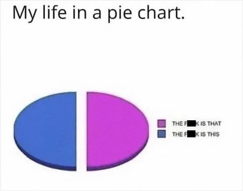 My Life Pie Chart meme confused all the time