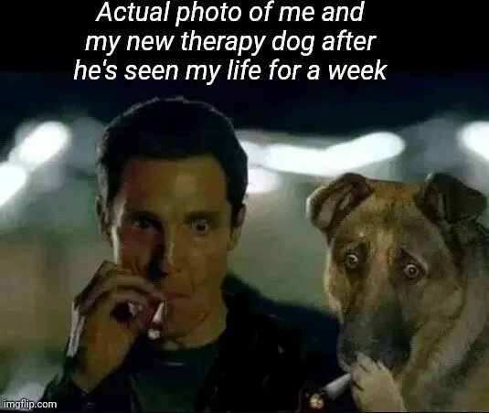Therapy dog meme Shocked after seeing owners life