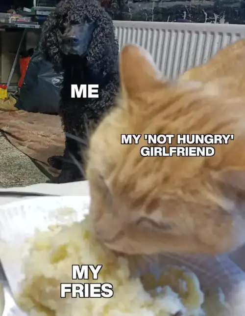 Not hungry girlfriend steals my fries meme me watching helplessly