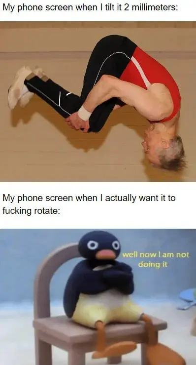 Phone auto rotate meme is stubborn on demand