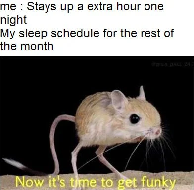 Sleep schedule meme gets funky after late night
