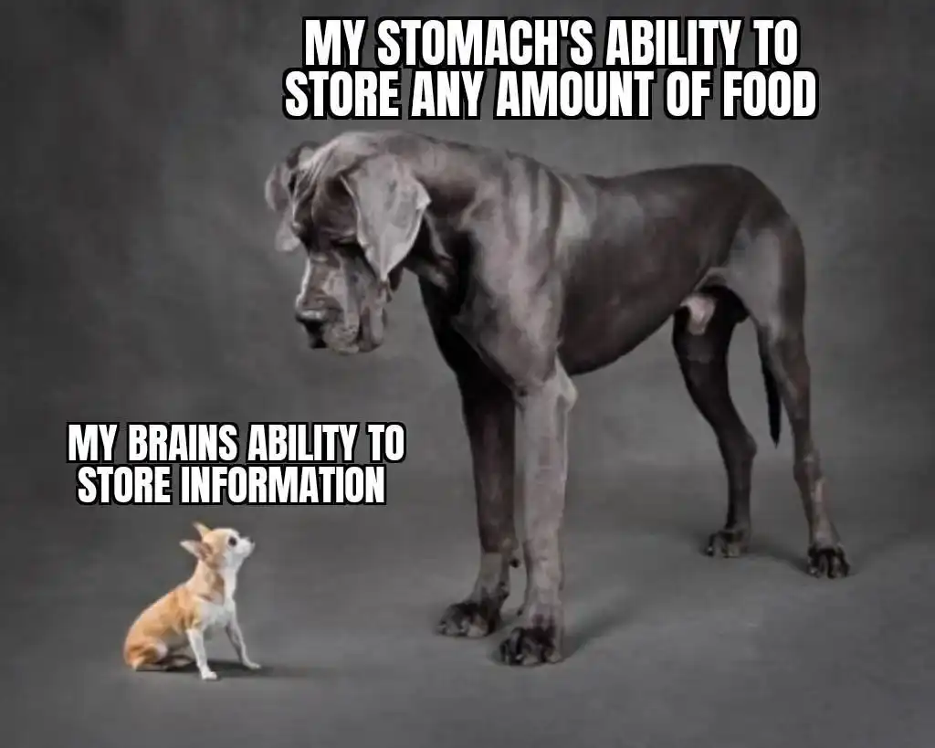 Food vs memory meme shows funny contrast