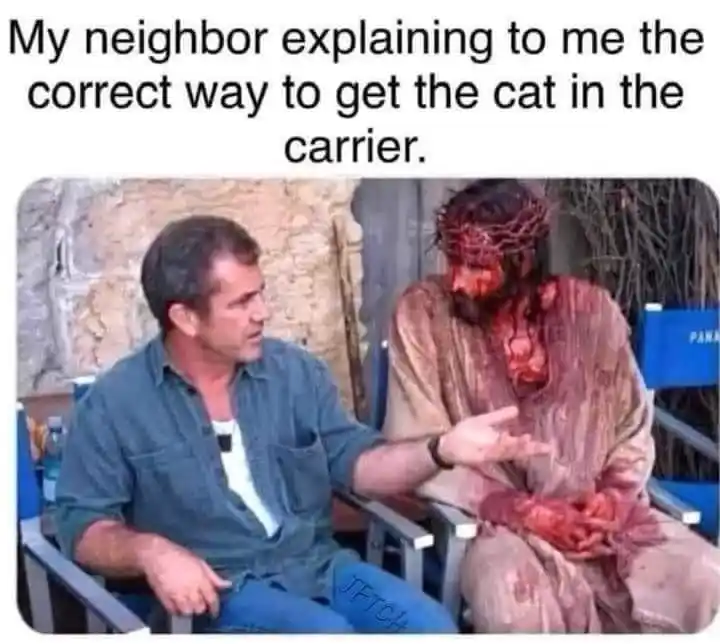 Neighbor cat carrier tip meme talks to jesus
