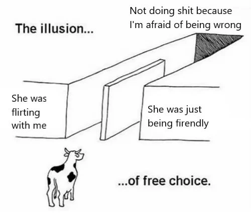 Free Choice Illusion meme fearing being wrong