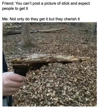 Stick gun meme, understood and cherished