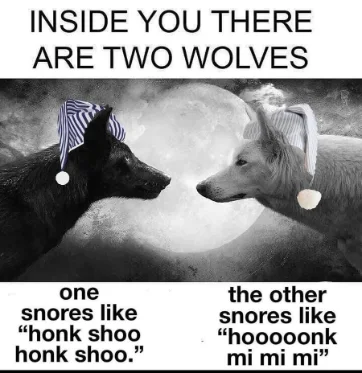 Two wolves in night caps meme snore differently