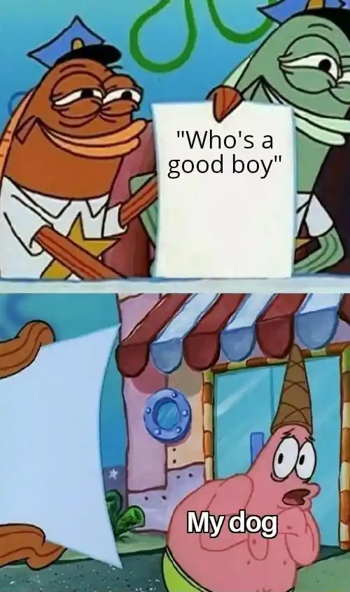 Scared patrick meme seeing who is a good boy my dog