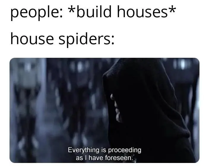 House Spiders meme foreseeing free homes