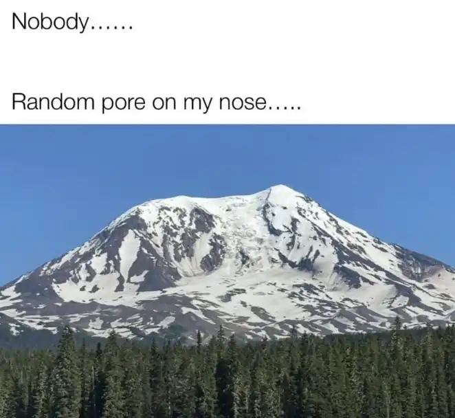 Nose pore meme looks like huge snow peak