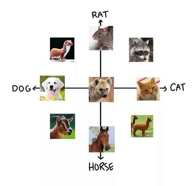 Animal alignment meme with hyena at center