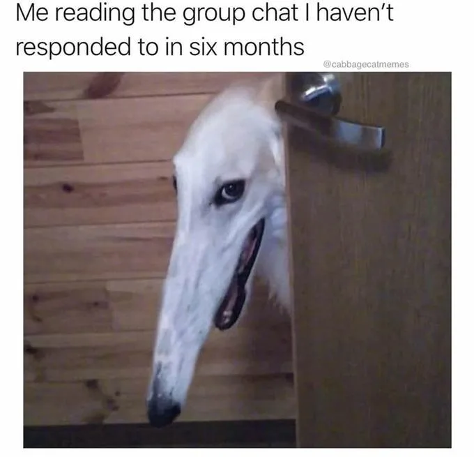 6 month ignored group chat meme peeking awkwardly