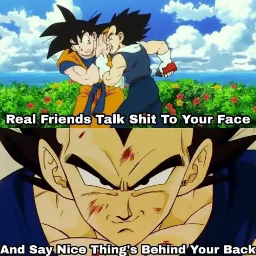 DBZ real friends meme, honest relatable friendship joke