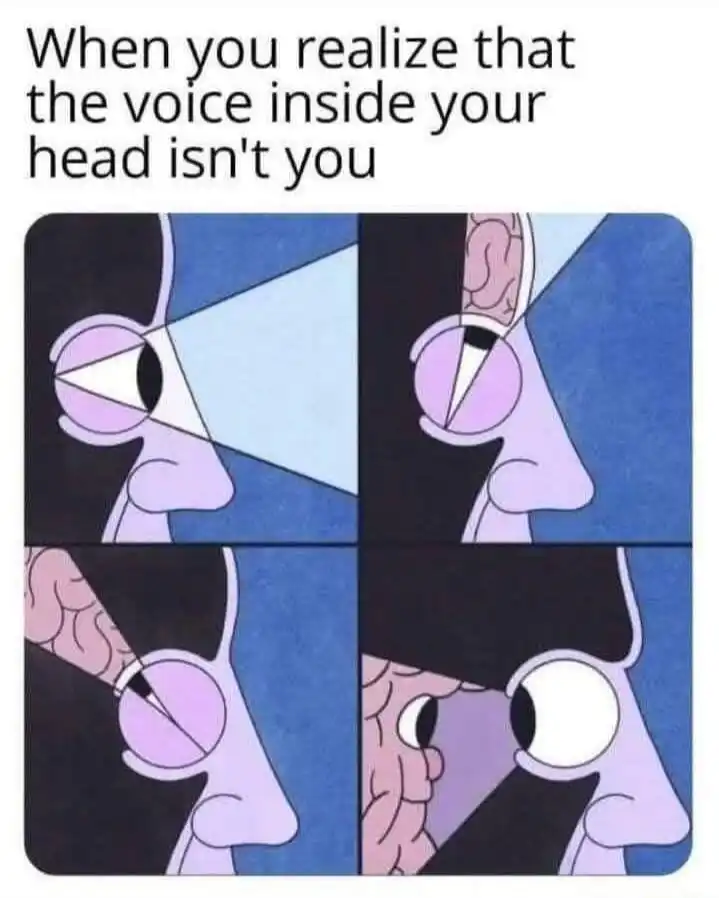 Head voice not you meme shocked confused
