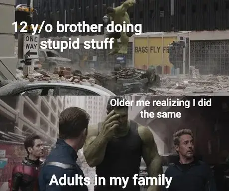 Regretful hulk meme realizing he did same dumb stuff