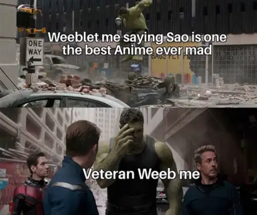 Regretful hulk meme regrets liking sao anime