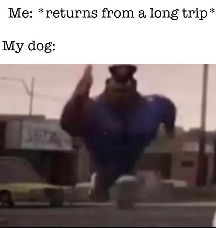 Running officer earl meme rushing to greet returning owner