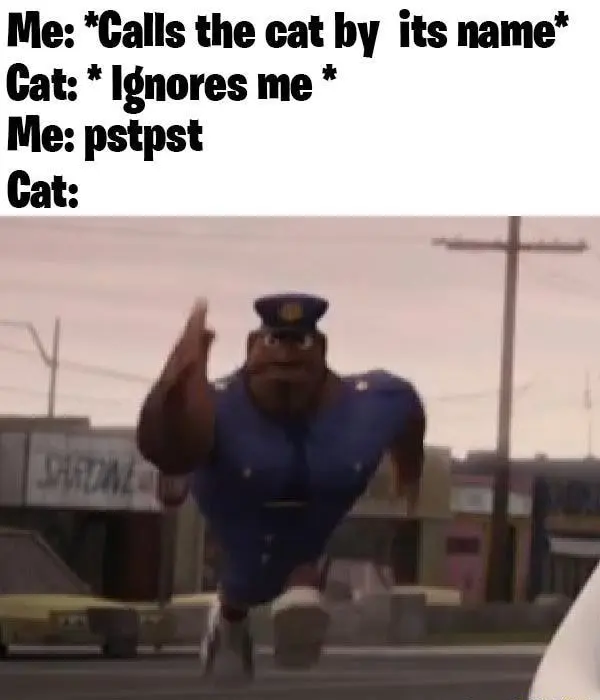 Running officer earl meme rush to pstpst