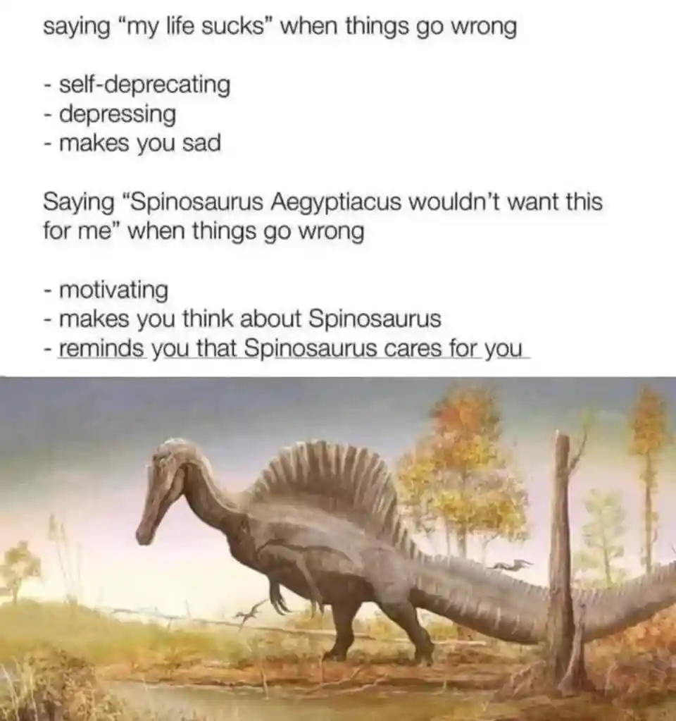 Spinosaurus aegyptiacus meme motivating you through bad days
