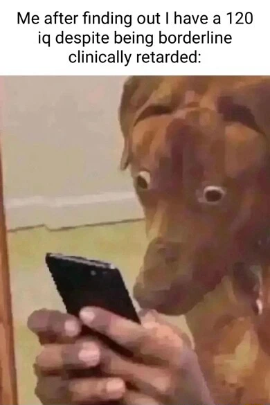Scared dog looking at phone meme on phone shocked by 120 IQ