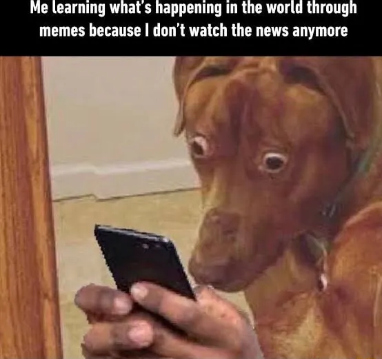 Scared dog looking at phone meme shocked reading news on phone