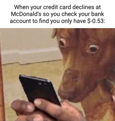 Scared dog looking at phone meme shocked at bank overdraft