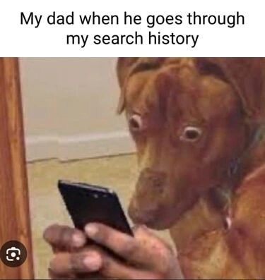 Scared dog looking at phone meme stunned viewing search history