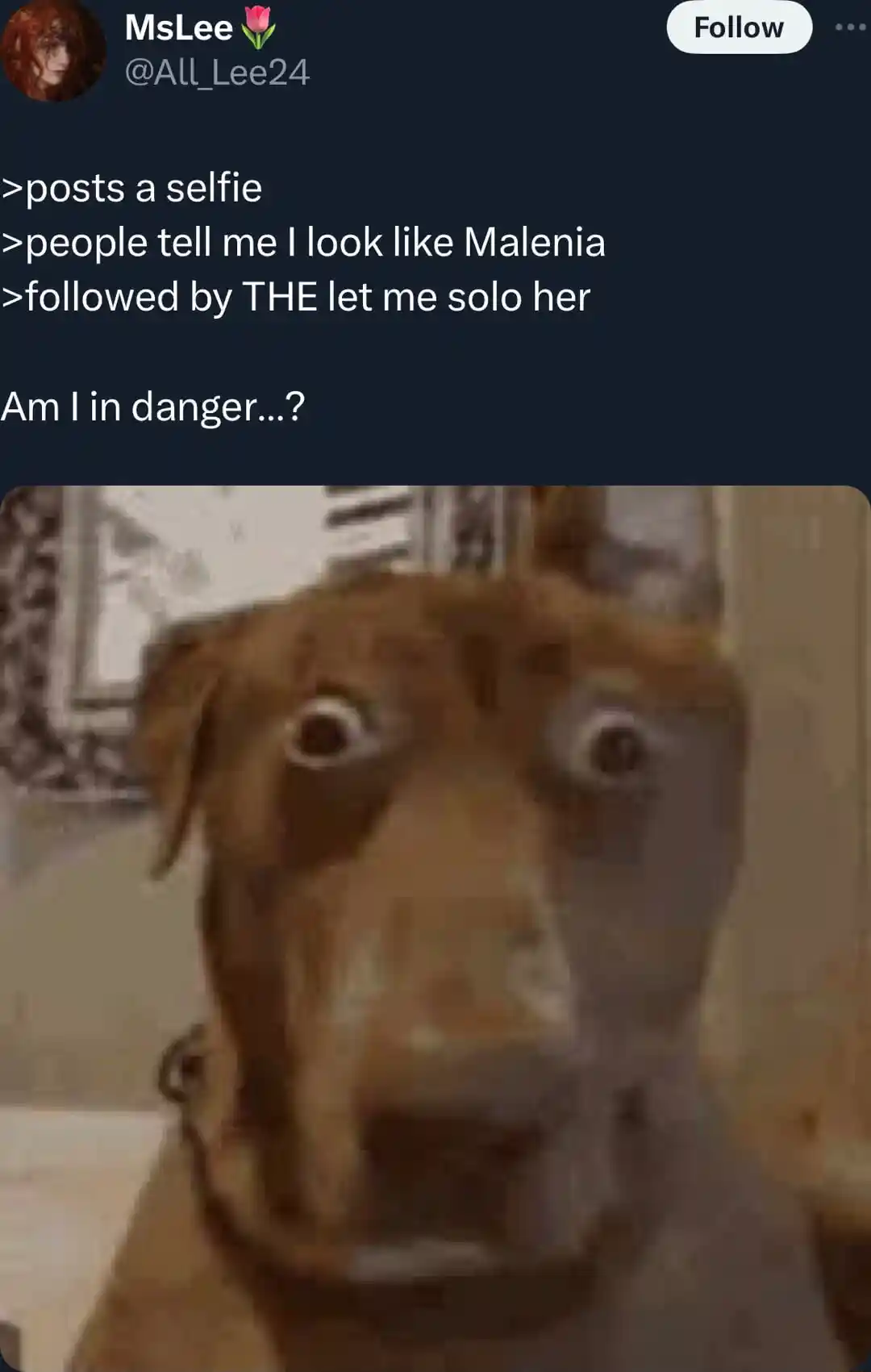 Scared dog meme fearing solo fight as Malenia