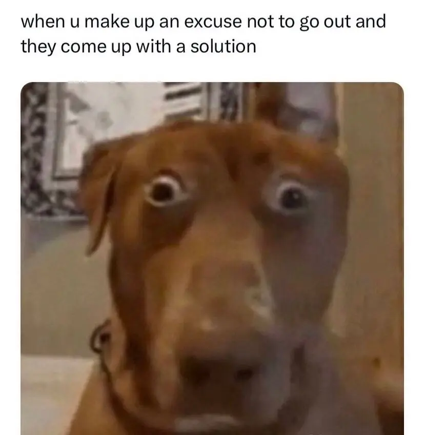 Scared dog meme stunned when excuse is solved