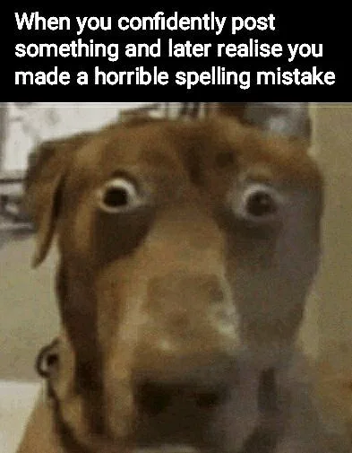 Scared dog meme panics at post spelling error