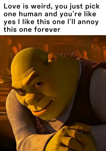 Shrek rizz meme smirking about annoying loved one forever