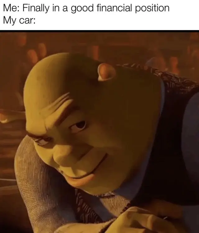 Shrek rizz meme draining your savings