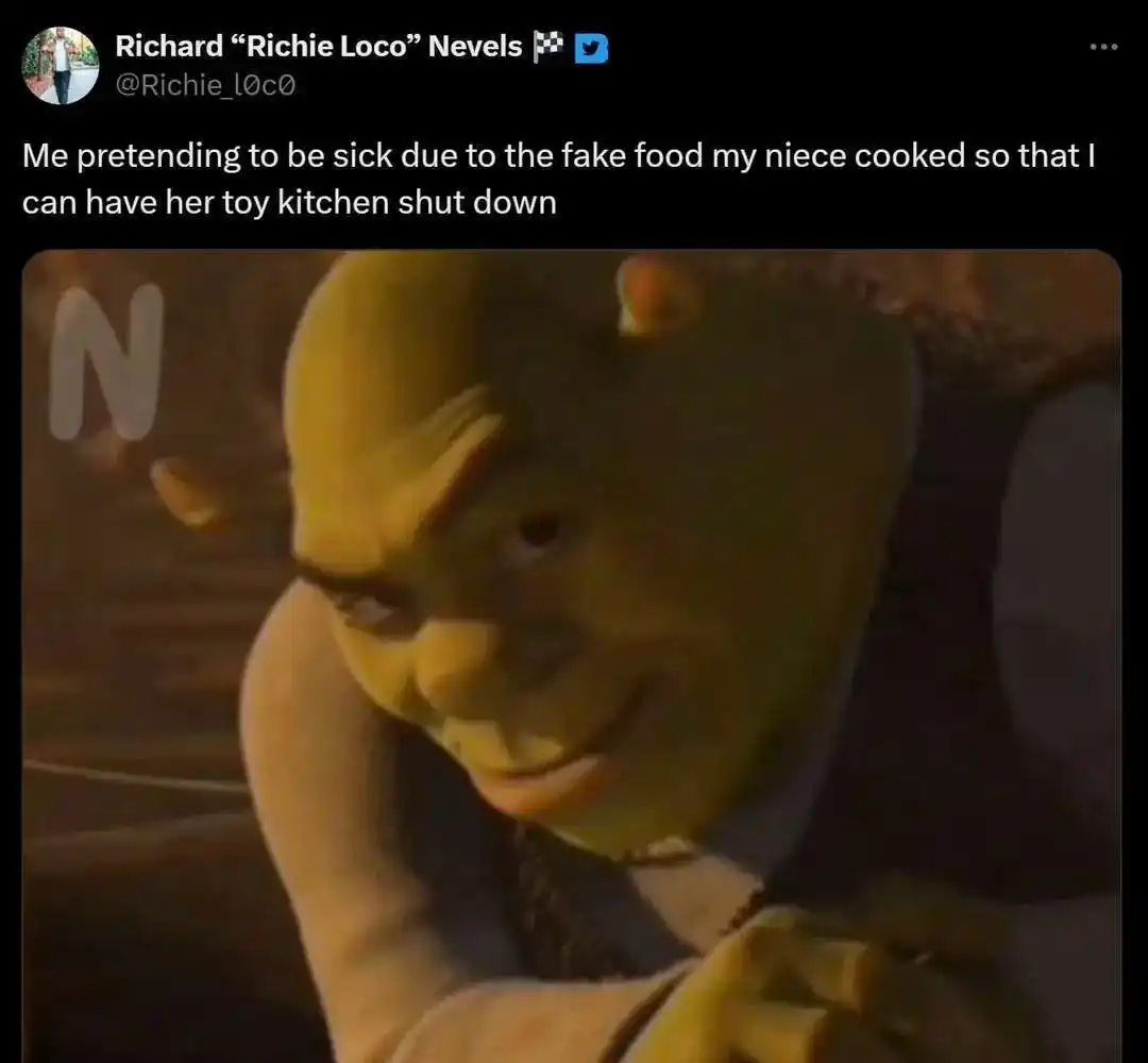 Shrek rizz meme slyly pranking his niece