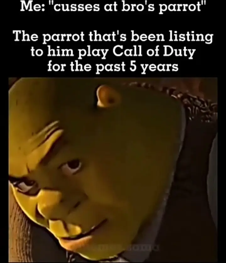 Shrek rizz meme side eyeing COD cursing parrot