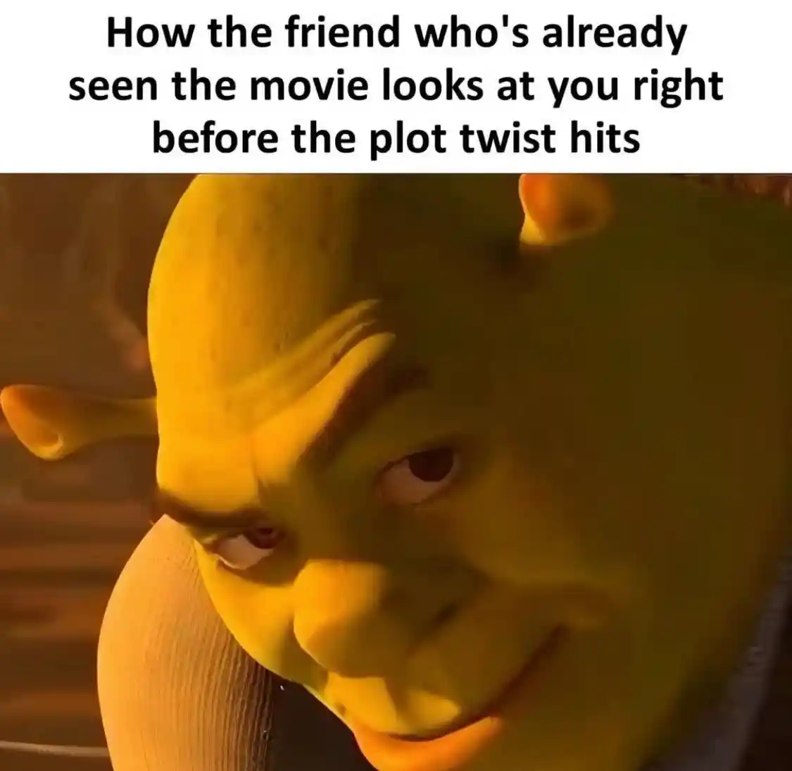 Shrek rizz meme smirks before plot twist