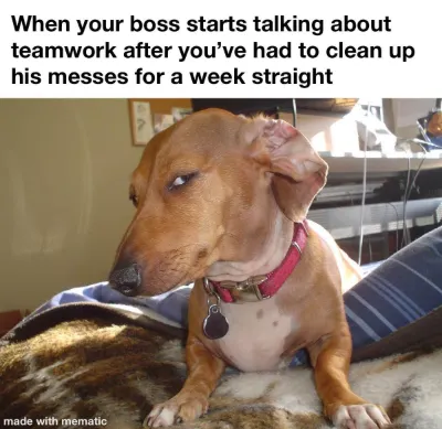 Side eye dog meme doubts boss's teamwork talk