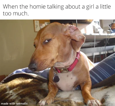 Side eye dog meme doubt homie over girl talk