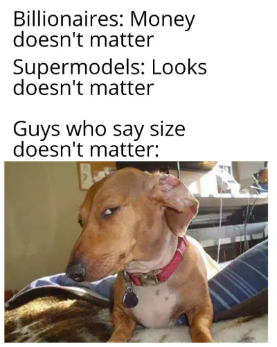 Side eye dog meme doubting size doesn't matter claims